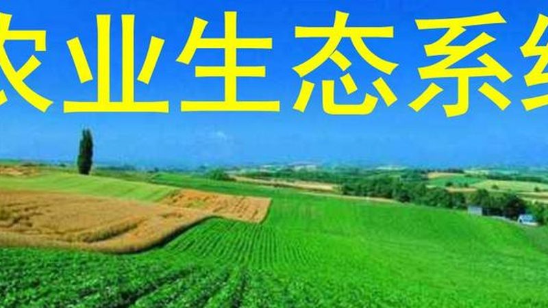 生态农业园区规划：标准规范与关键要素**