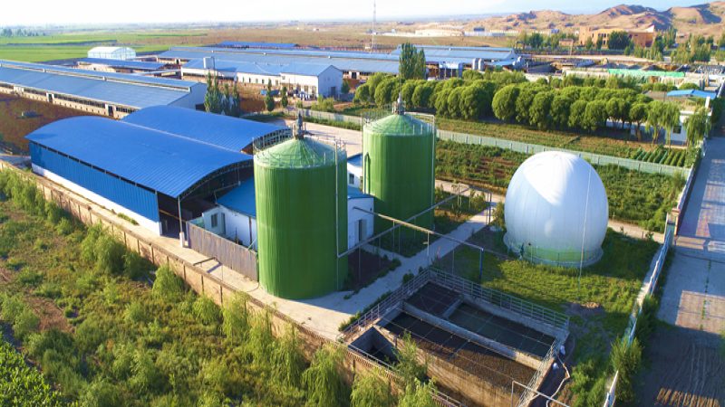 农业种植技术学习的路径与关键步骤
