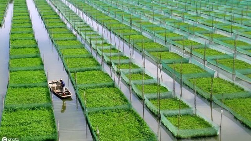 智慧农业种植系统：参数配置的关键要素