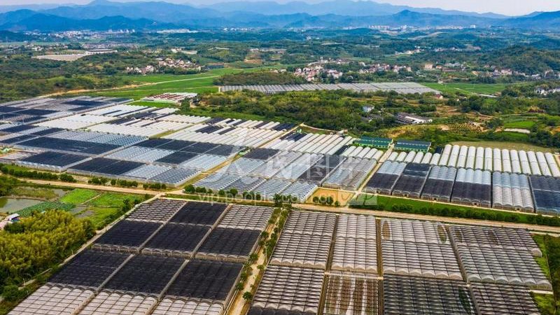 北京果蔬配送合同范本：构建稳定供应链的关键要素