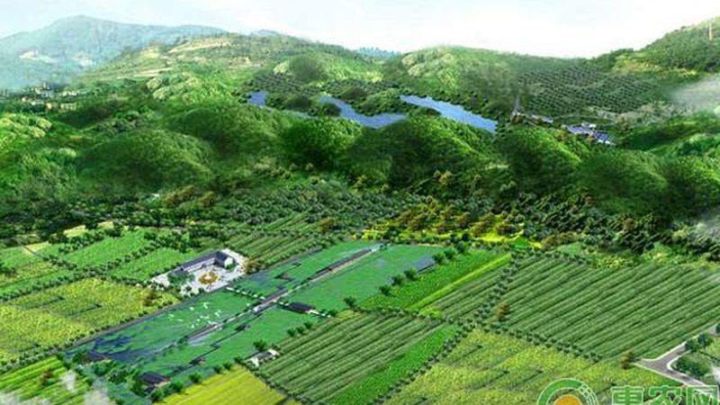 上海生态农业公司：绿色种植的未来之路**