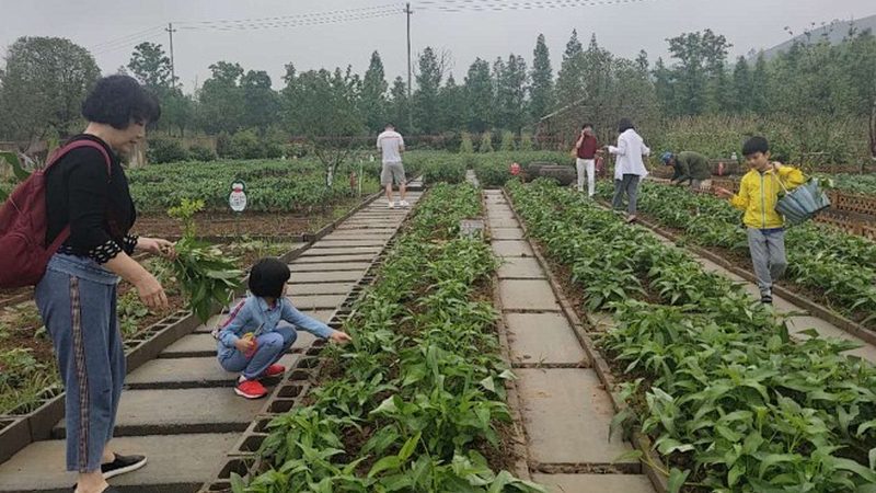温室大棚保温被：规格厚度背后的科学考量