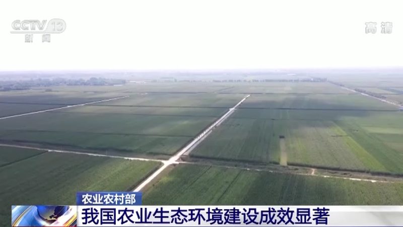 合作社分红，分的是信任还是矛盾
