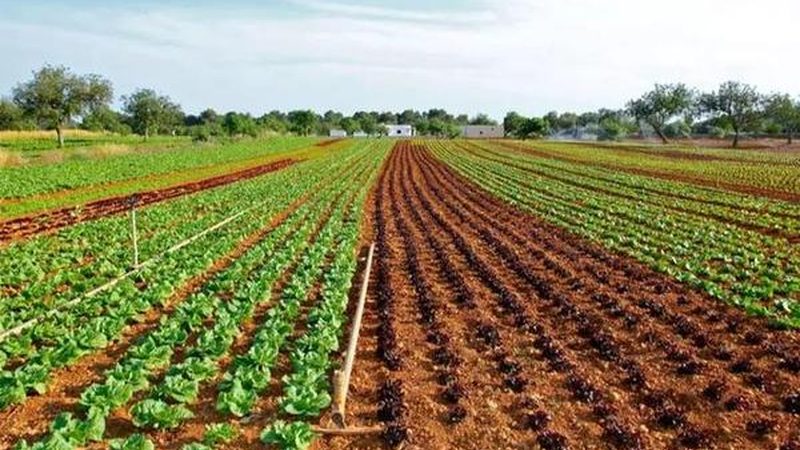 家庭农场种植设备：标准规范，助力高效农业**