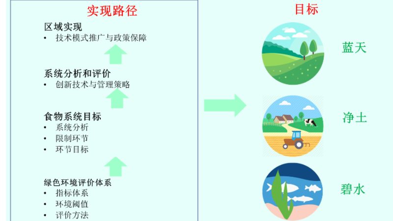 有机蔬菜配送基地：揭秘其背后的秘密与价值**
