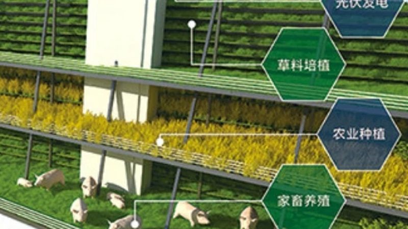农民专业合作社注销流程解析：时间与注意事项