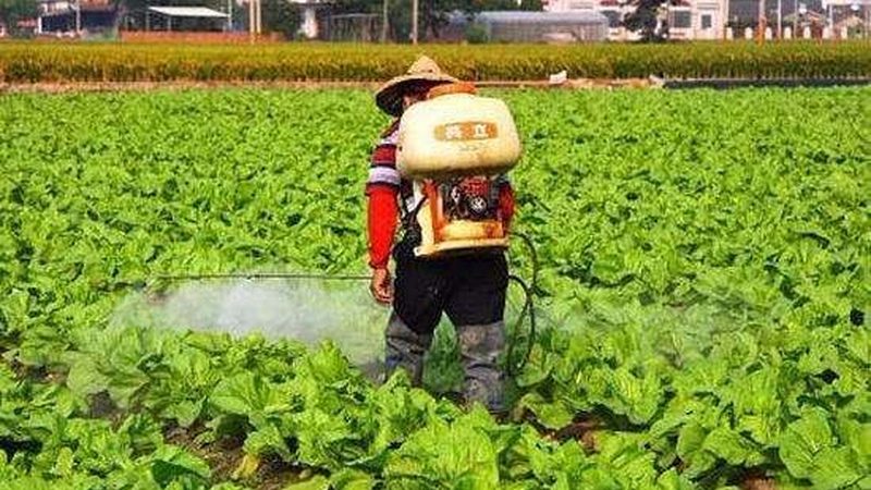 农产品购销合同，规范格式背后的秘密