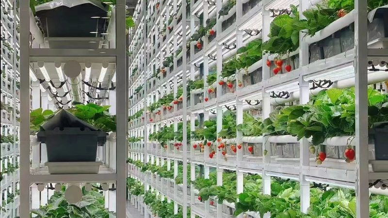 设备参数是衡量设备性能和适用性的重要指标。以下是一些关键参数及其意义：