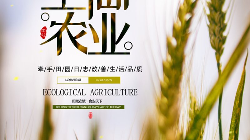 休闲农业规划设计：从理念到实施的关键注意事项